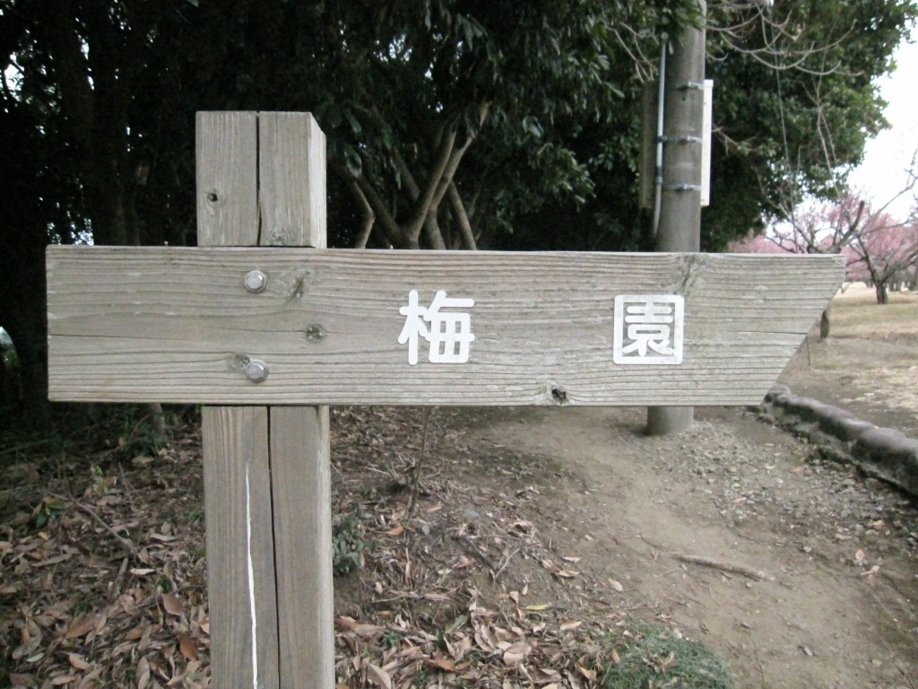 お散歩