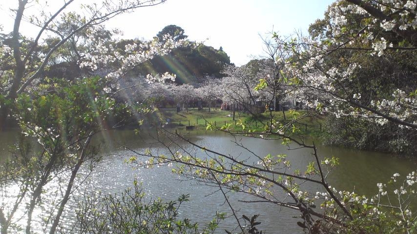 春ですねぇ～　色々ありますよぉ～色々ね