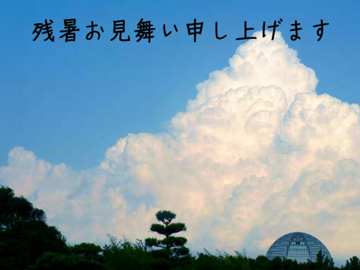 残暑お見舞い