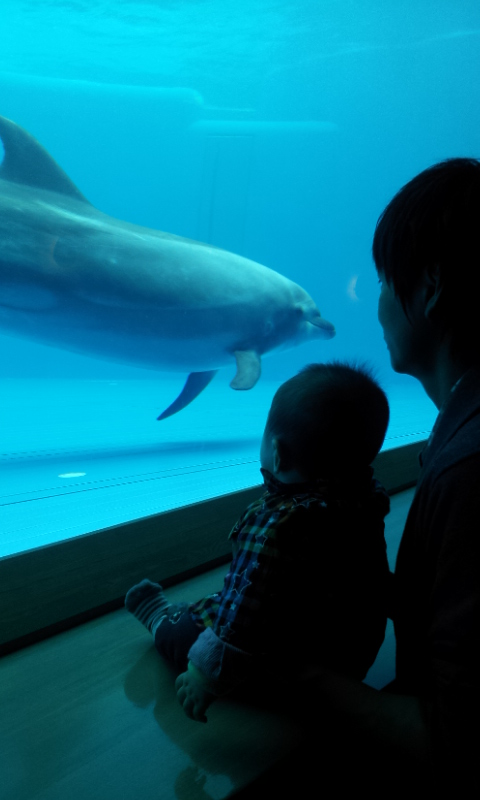 水族館♪