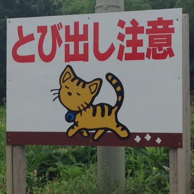 やさしいライオン