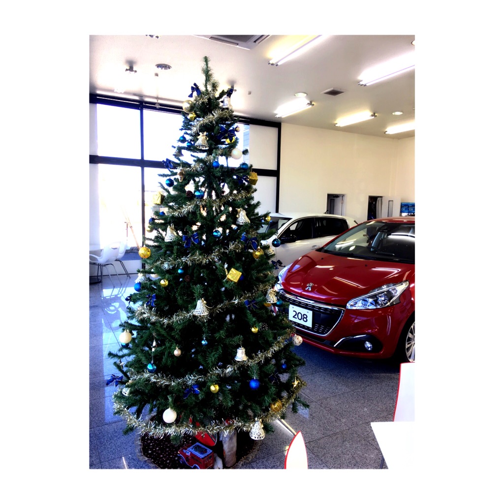 来週はクリスマス...♪