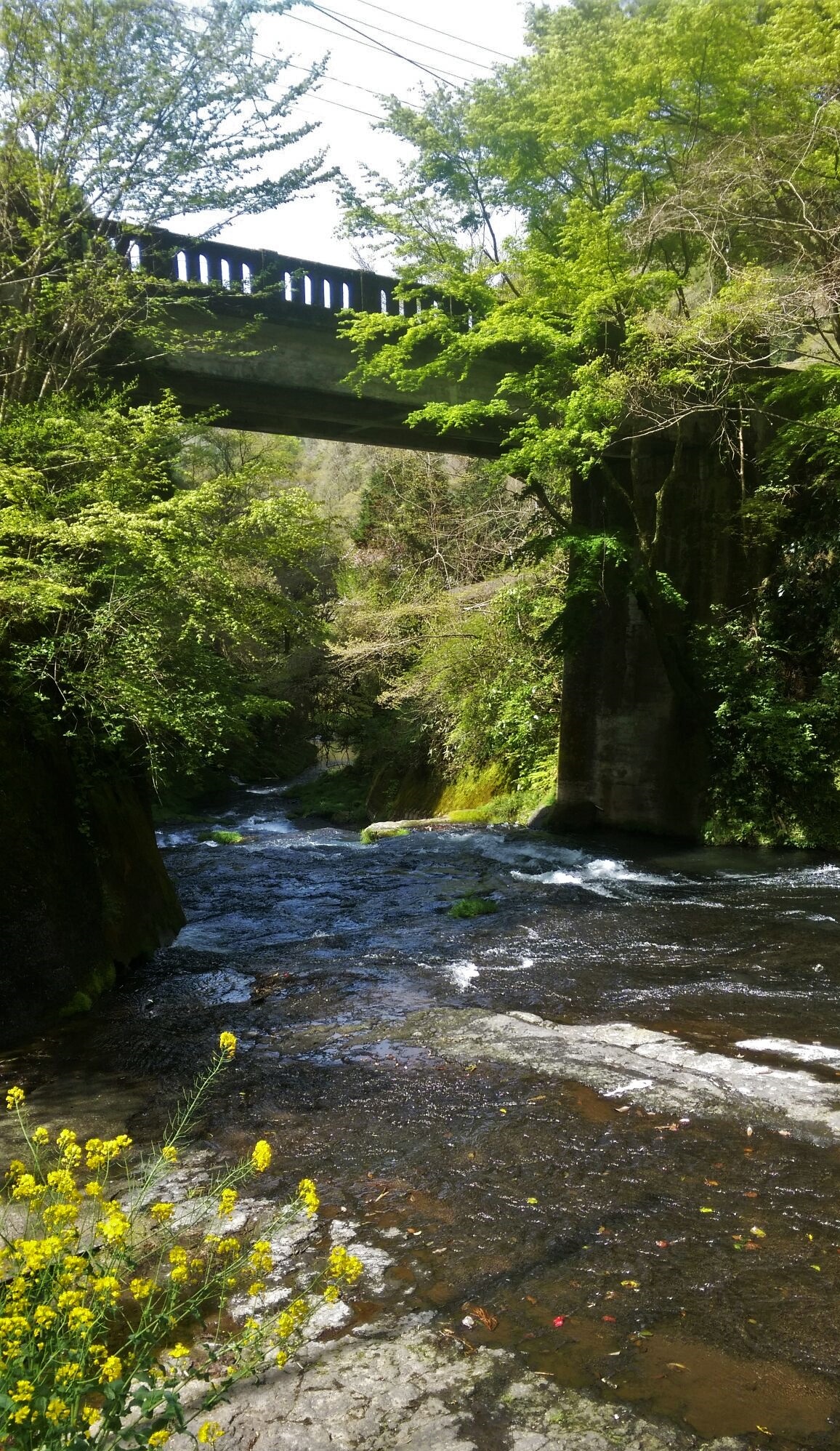 渓流釣りへ