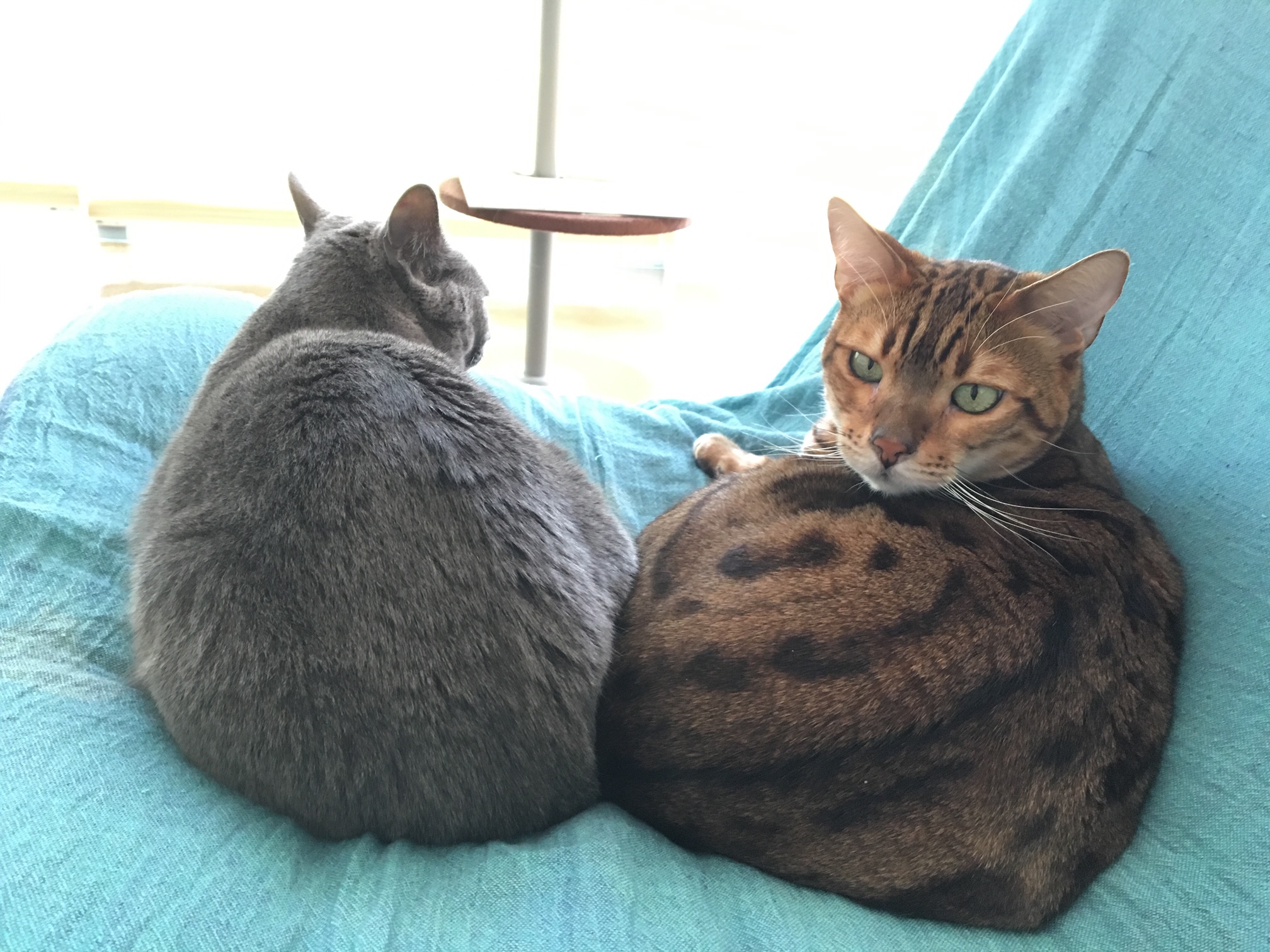 年末年始のお休みのご案内