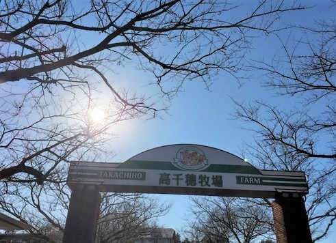 過ぎ去ったお正月