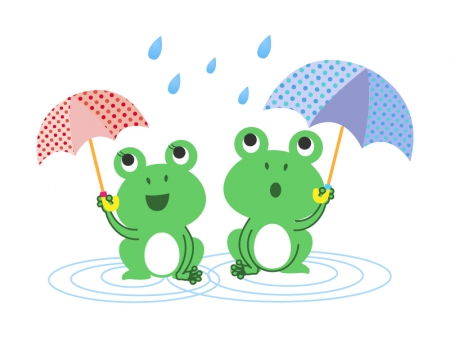 明日はお休みとなります。
