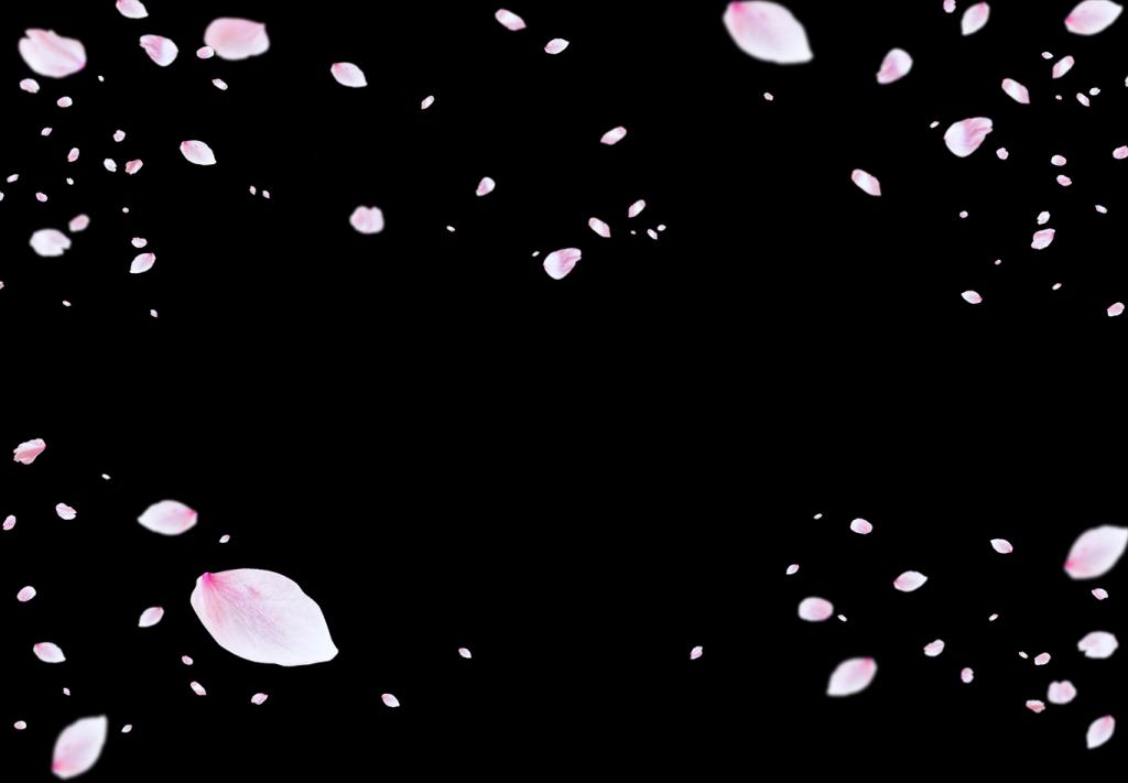 3月最初の週末