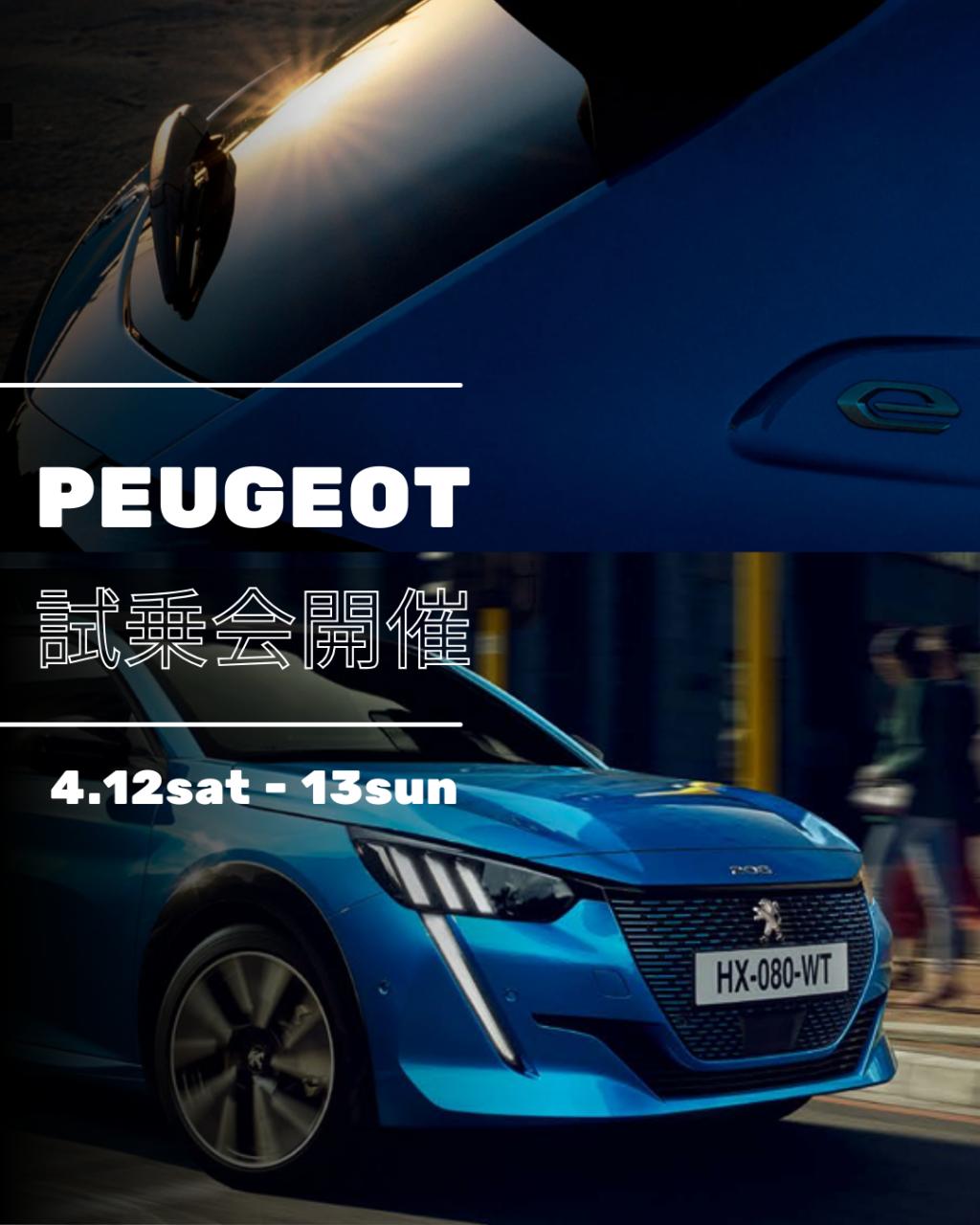 🚙試乗会開催！💨