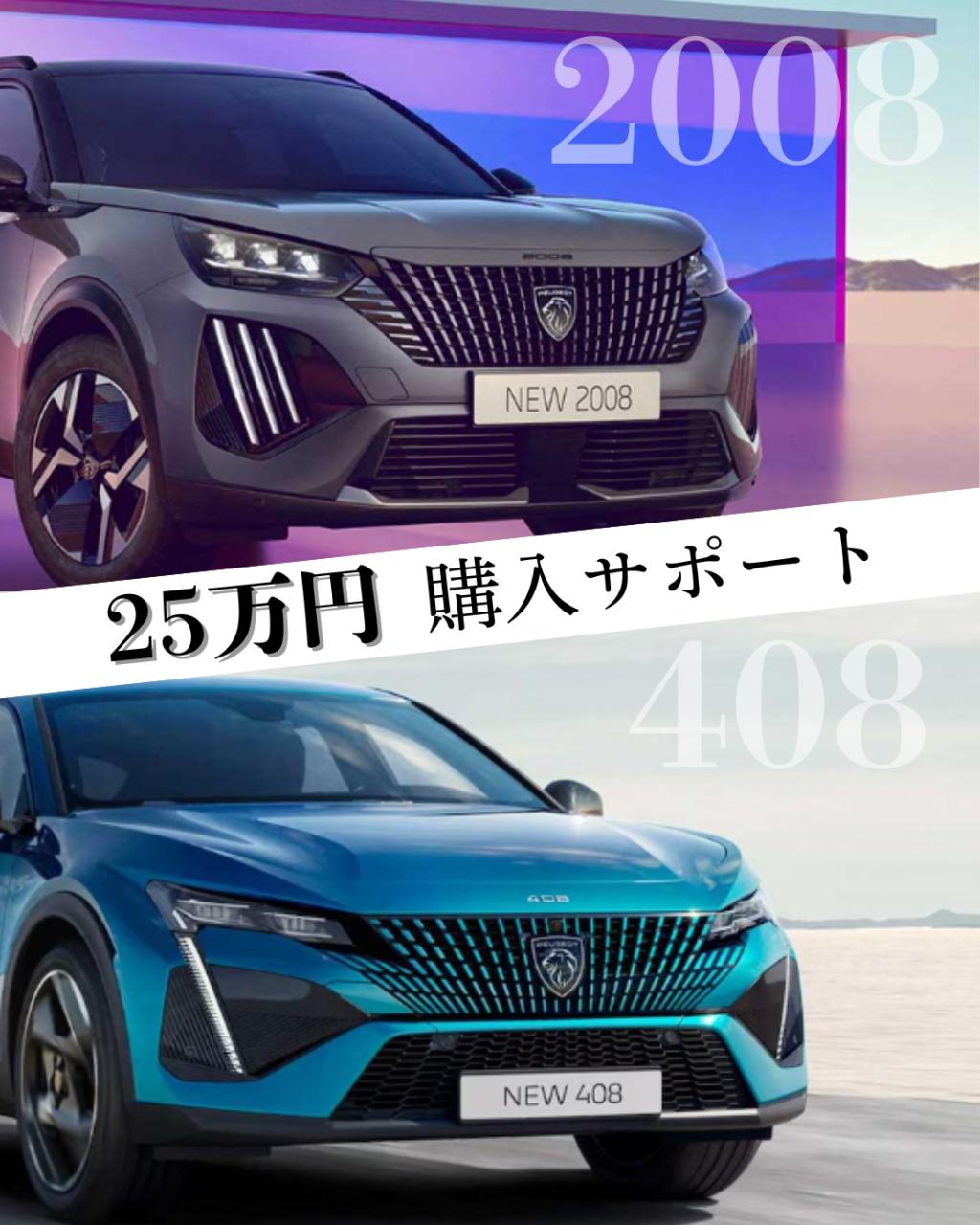 💰購入サポート💰