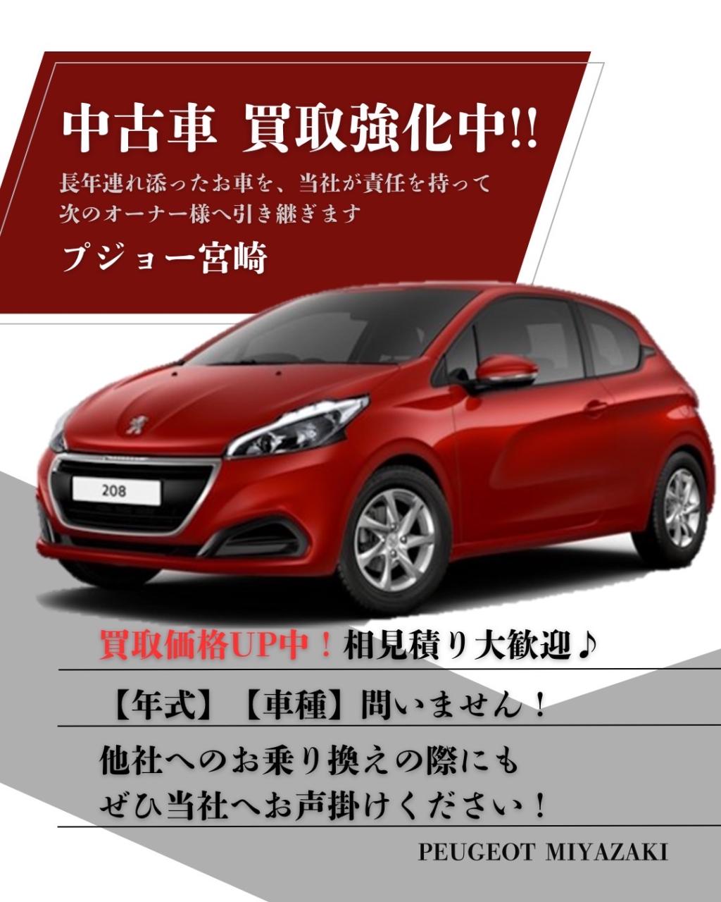 🚗中古車 買取強化中✊🏻