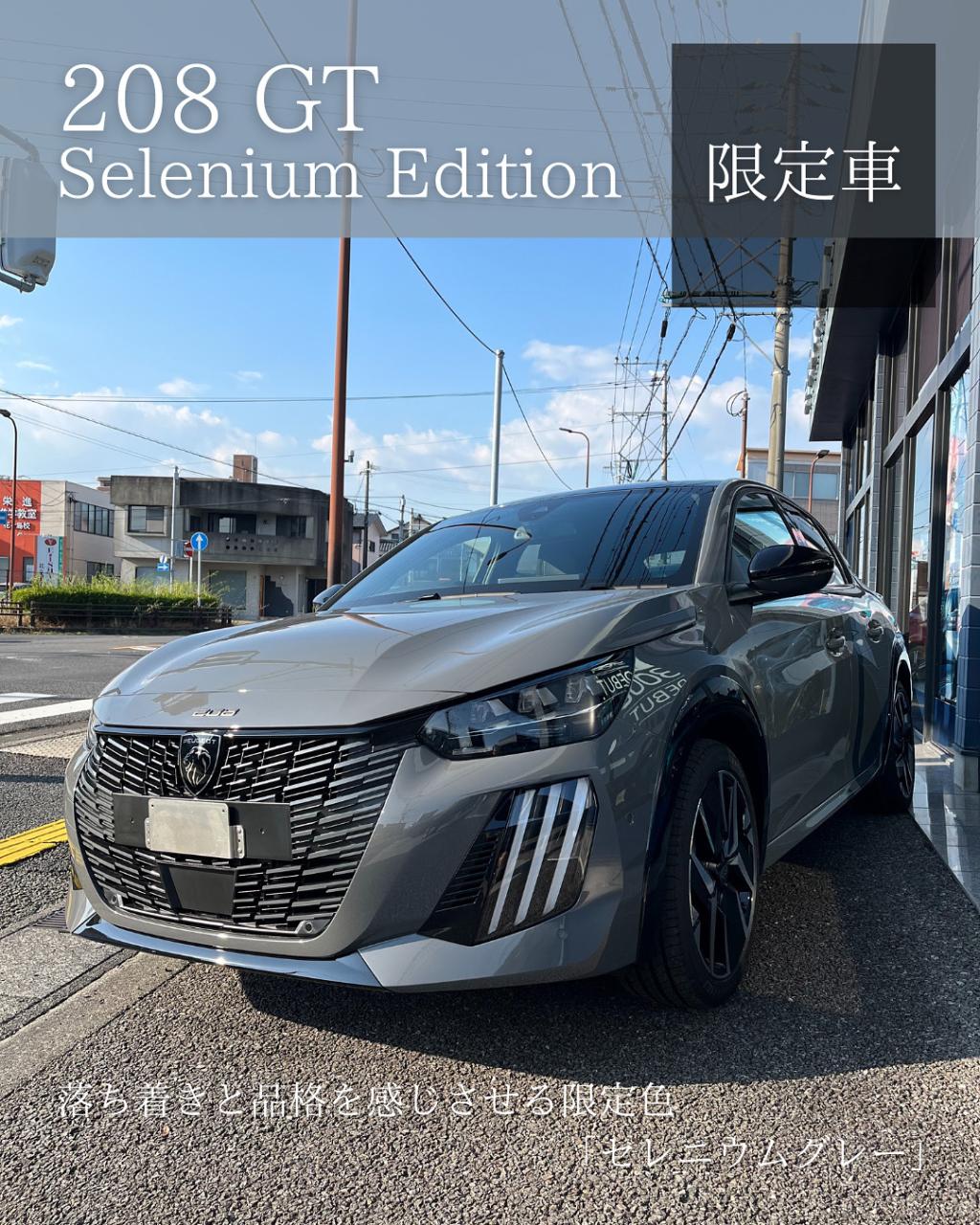 【限定200台】208GT Selenium Edition