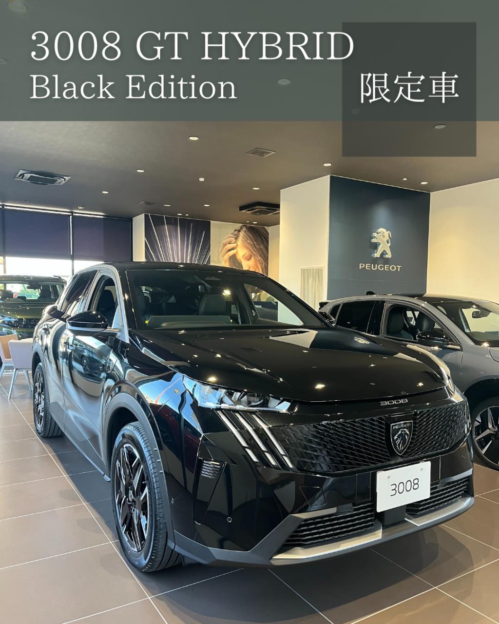 3008 GT HYBRID 限定仕様車