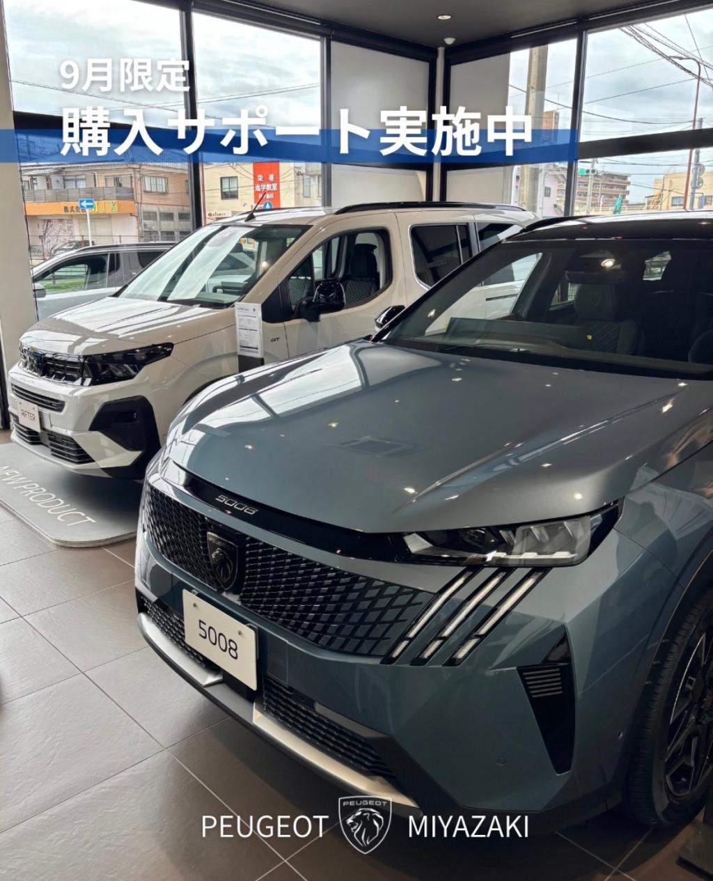 9月購入サポート🔥